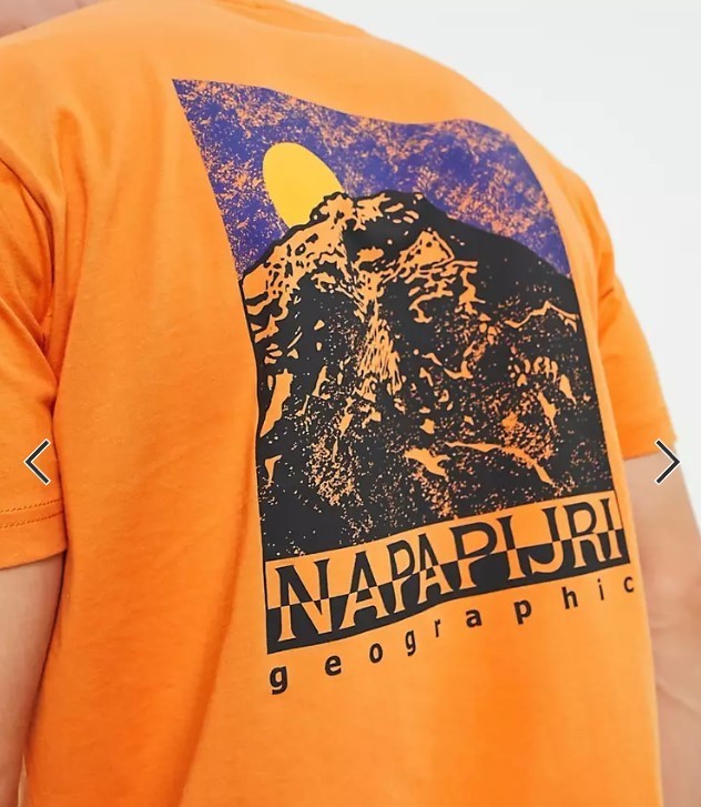NAPAPIJRI】Bolivar バック プリント クルーネック Tシャツ