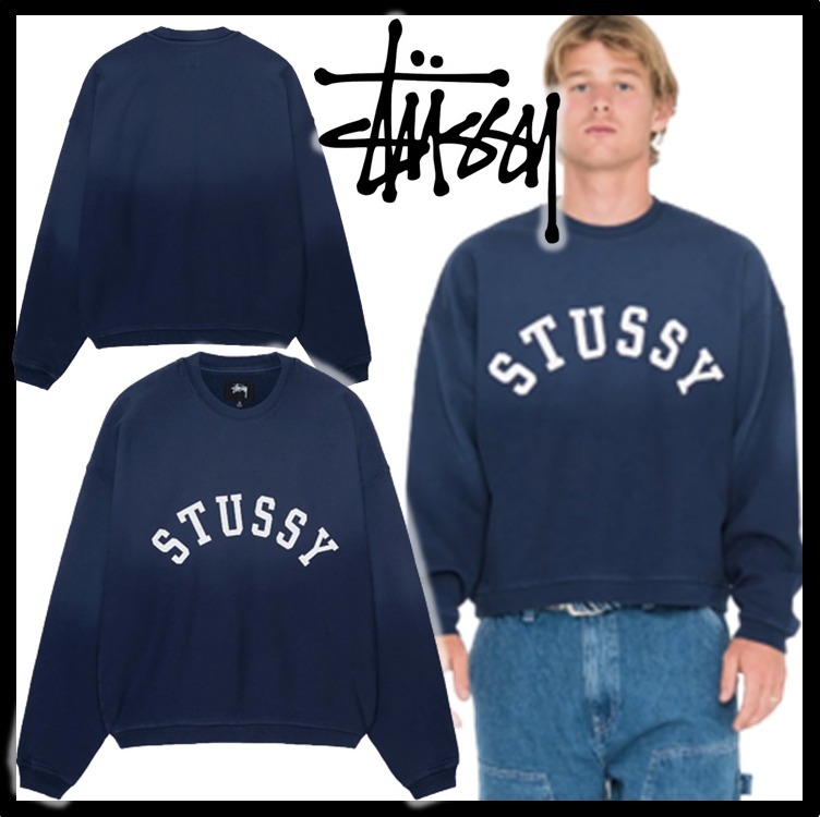 ★送料・関税込★STUSSY★SUN FADED OVERSIZED CREW★