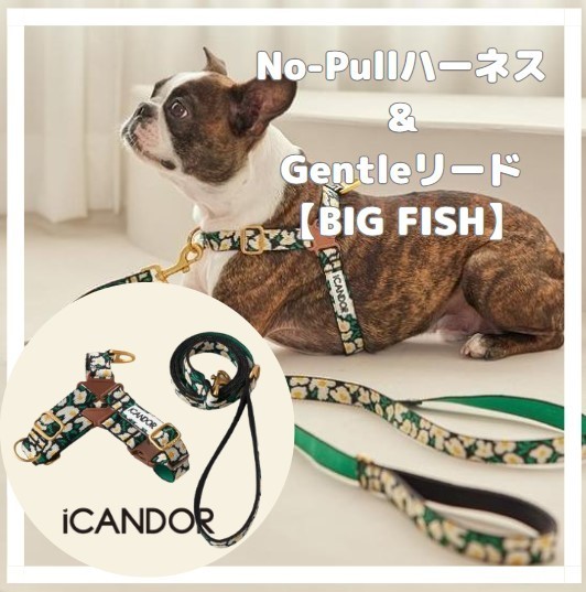 ICANDOR ★ No-Pull Harness+Gentle Leash 【BIG FISH】