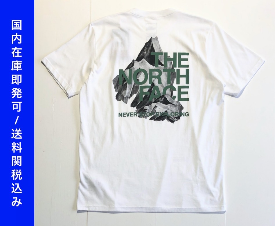 ★海外限定/即発可*The North Face*マウンテンシャドウTシャツ/H