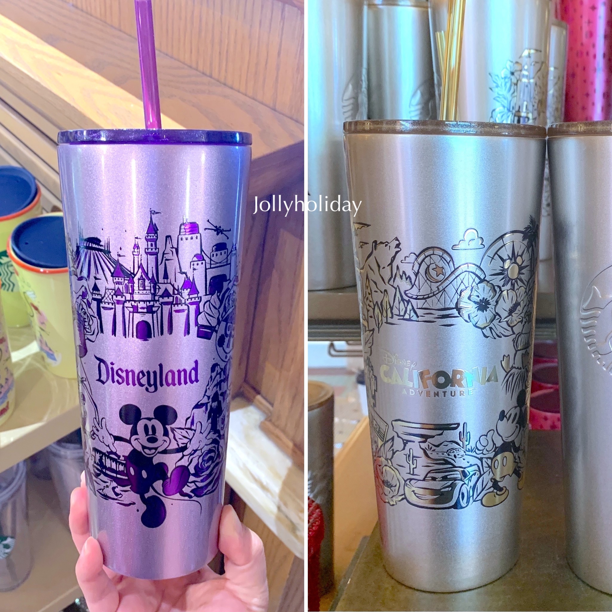 ☆Starbucks☆Disneyland Resort限定 タンブラー 2種類