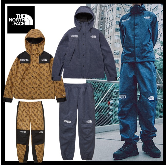 ★送料・関税込★THE NORTH FACE★M GTX MOUNTAIN SET UP★