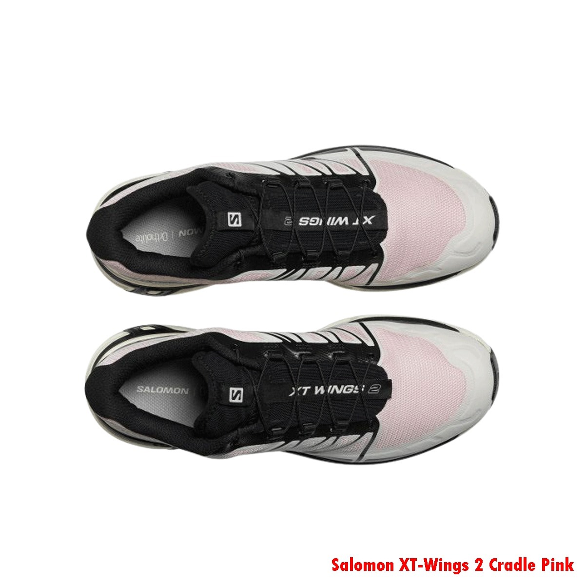Salomon XT-Wings 2 Cradle Pink ★ 関税/送料込 ☆関税込☆Salomon☆Salomon XT-Wings 2 Cradle Pink☆22-29cm☆