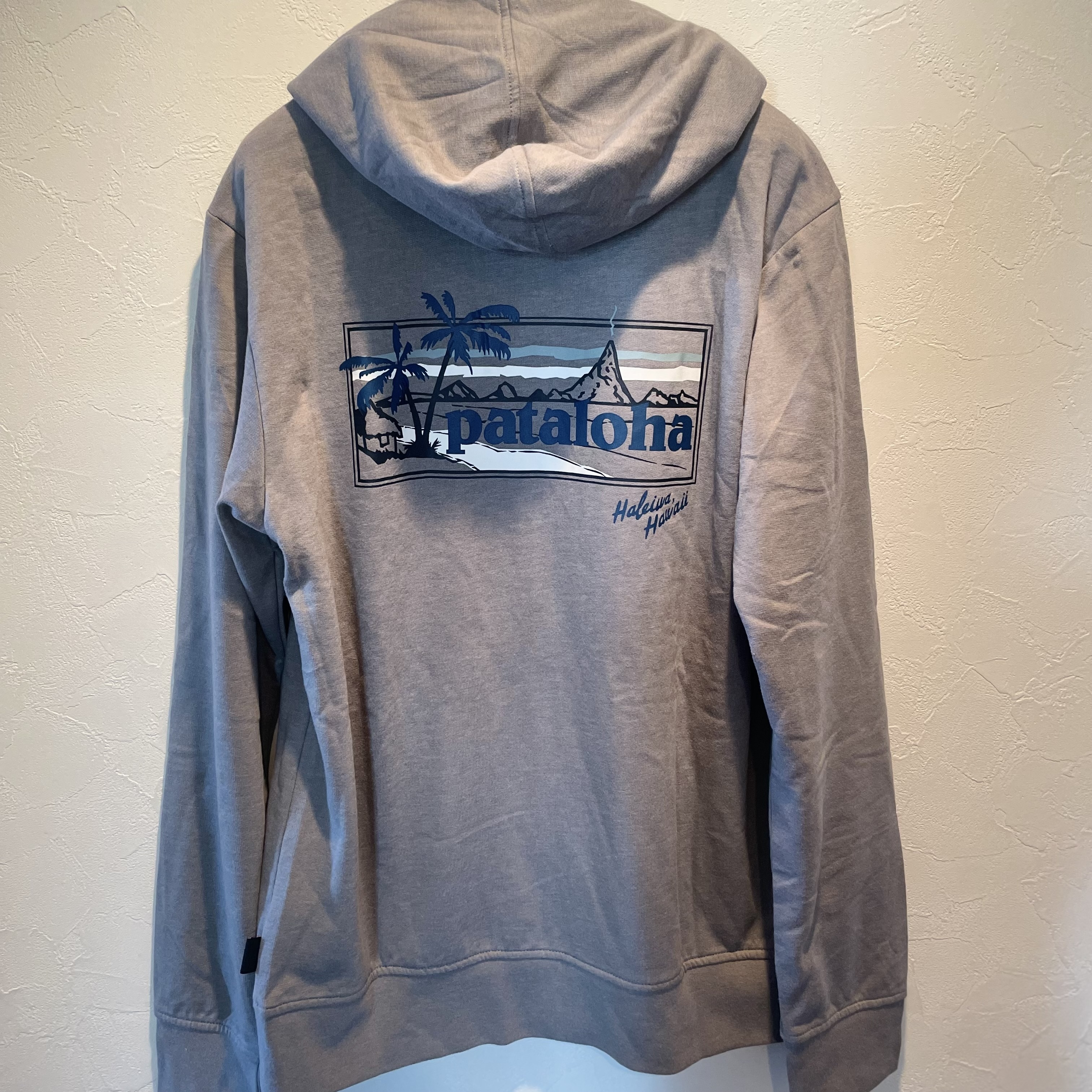 Patagonia (パタゴニア) パーカー・フーディ メンズ