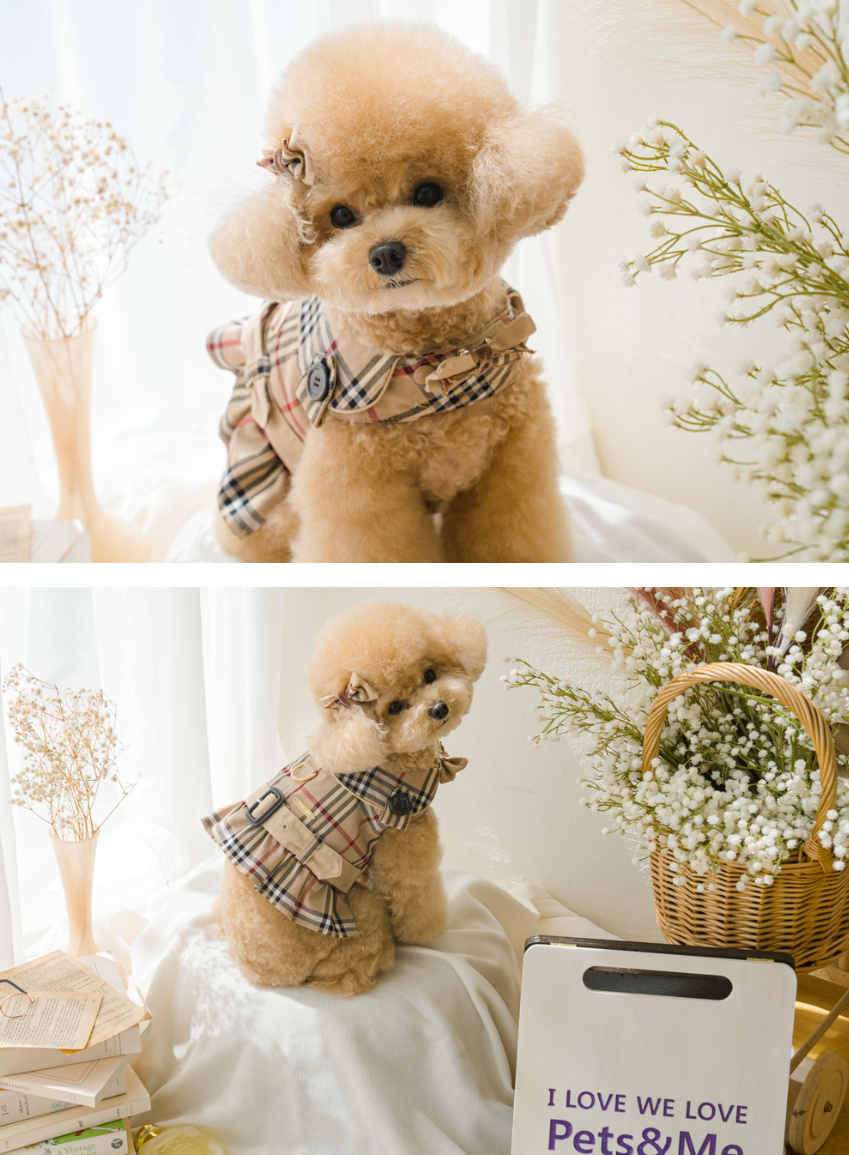 《韓国 PETS AND ME》Trench Velcro Snap ハーネス チェック柄
