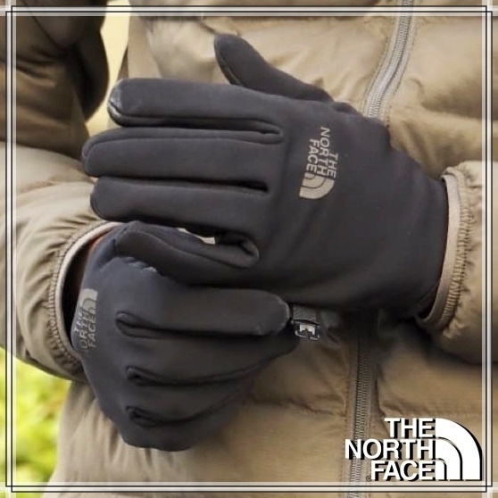 早い者勝ち!!! THE NORTH FACE◆イーチップショートグローブ