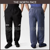 ☆THE NORTH FACE☆M GTX MOUNTAIN PANT パンツ ゴアテックス