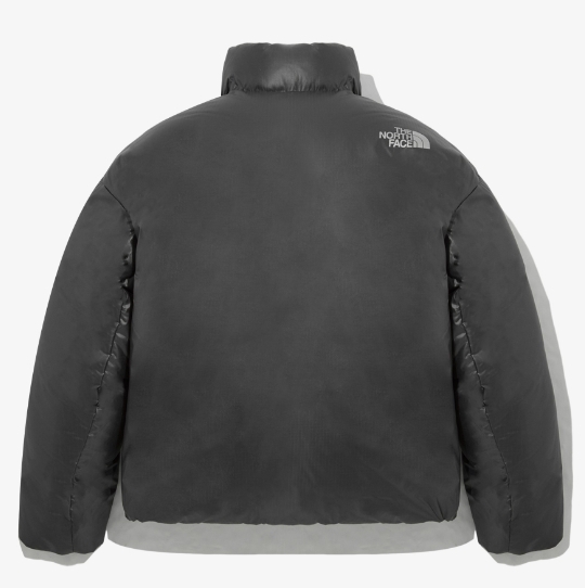 ★THE NORTH FACE★送料込み★韓国★GLOSSY DOWN JACKET NJ1DP61 The North Face○GLOSSY DOWN JACKET - NJ1DP61
