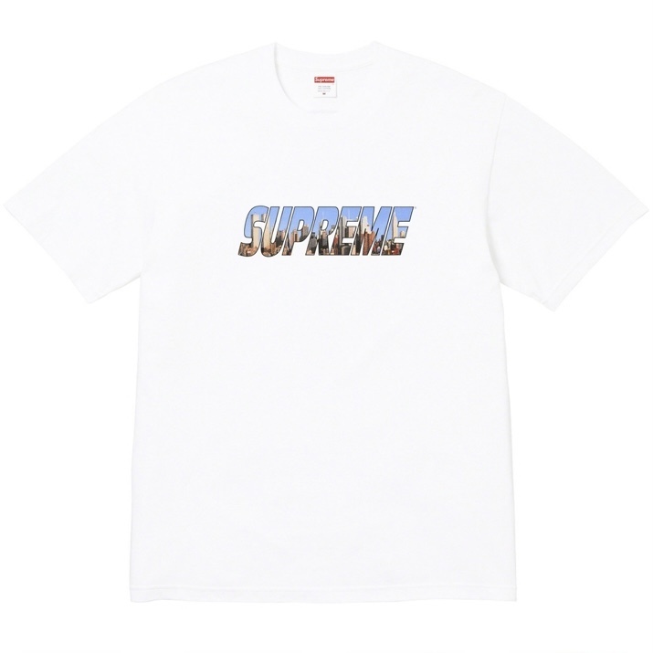[XL] Supreme Gotham Tee 在庫あり