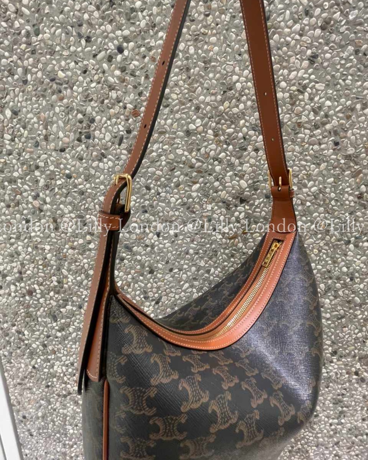 セリーヌ CELINE 希少 エロイズバッグ トリオンフキャンバス