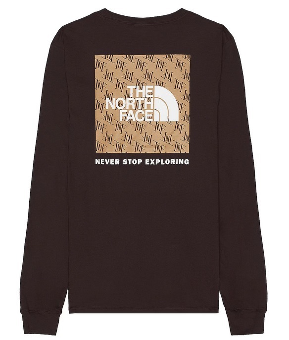 海外限定 関税送料込み The North Face Mountain Logo T-Shirt org.jpg