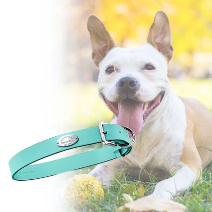 Tiffany & Co(ティファニー) ペット用品(ライフスタイル) - 海外通販の