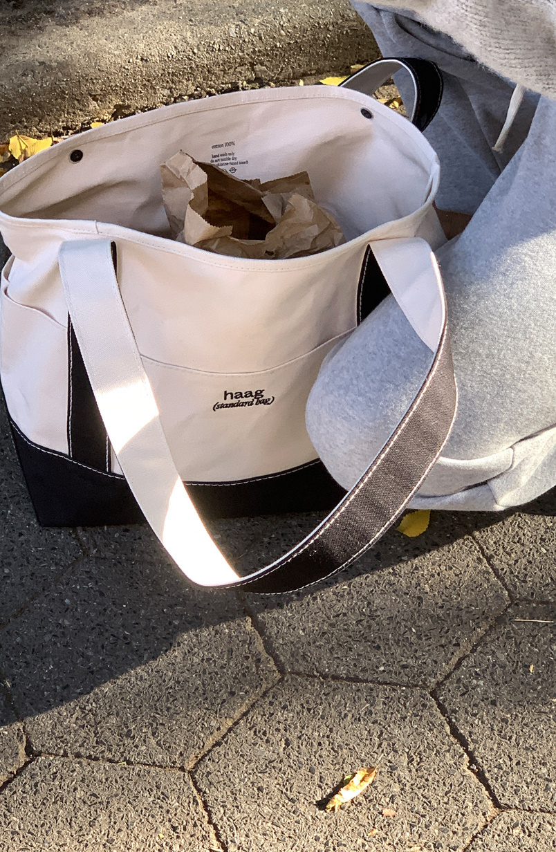 《韓国 haag》a standard bag (large) 人気 ミニバッグ