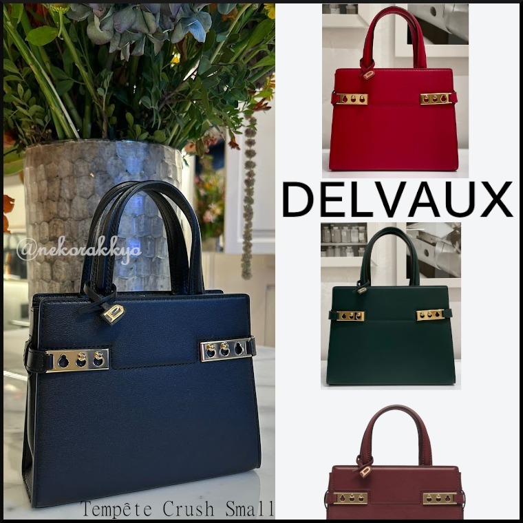 DELVAUX＊Tempete Crush Small スモール ハンドバッグ＊送料込