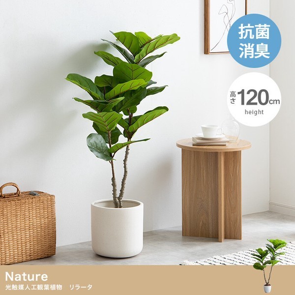 観葉植物 リラータ フェイクグリーン 人工観葉植物 インテリア