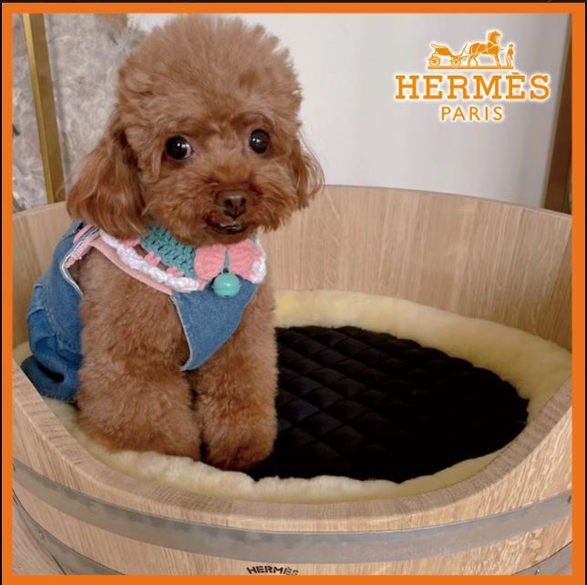 【ワイン樽風】HERMES 犬用バスケット オーク材 中型