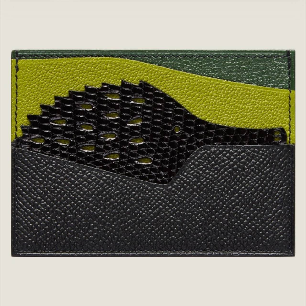 【サプライズカラー】HERMES petit h カードケース《自然史》