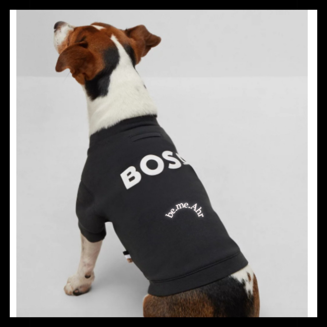 大谷翔平選手 愛犬着用♪【HUGO BOSS】シンプル dog スウェット