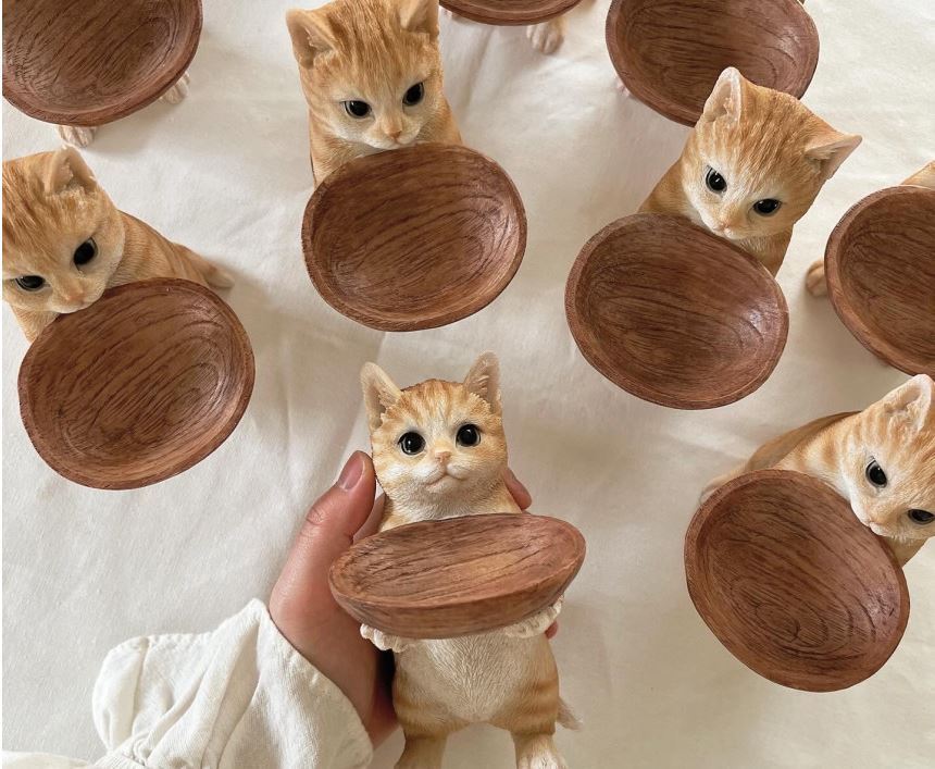 猫ウッドボールタイプ(チーズ)