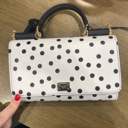 Dolce & Gabbana DGロゴ ドット PHONE BAG