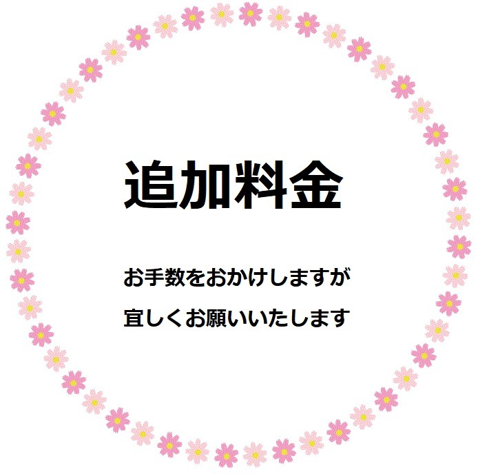 追加料金ご精算ページ