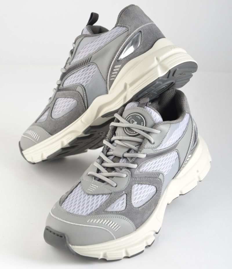 AXEL ARIGATO｜SNEAKERS (F1663001 DARKGREY/GREY)