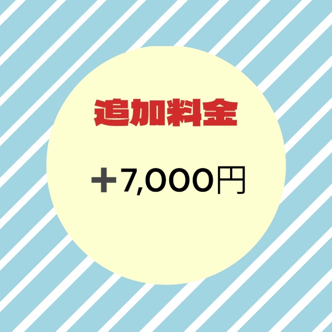 追加料金+7,000円