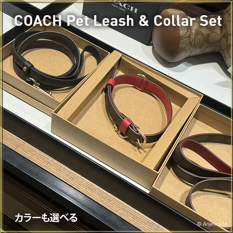 ★セットでもっと可愛く★COACH Small Pet Collar & Leash Set
