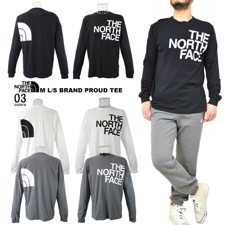 THE NORTH FACE ロングTシャツ BRAND PROUD TEE 希少 海外限定