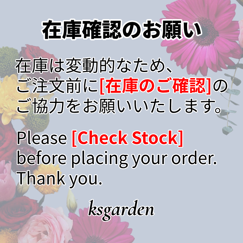 すぐ届く！GUCCI グッチ バシネット＆ベビーカー コンボ (GUCCI