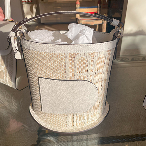 Delvaux 2024新作 Pin mini Bucket Naturel 数量限定