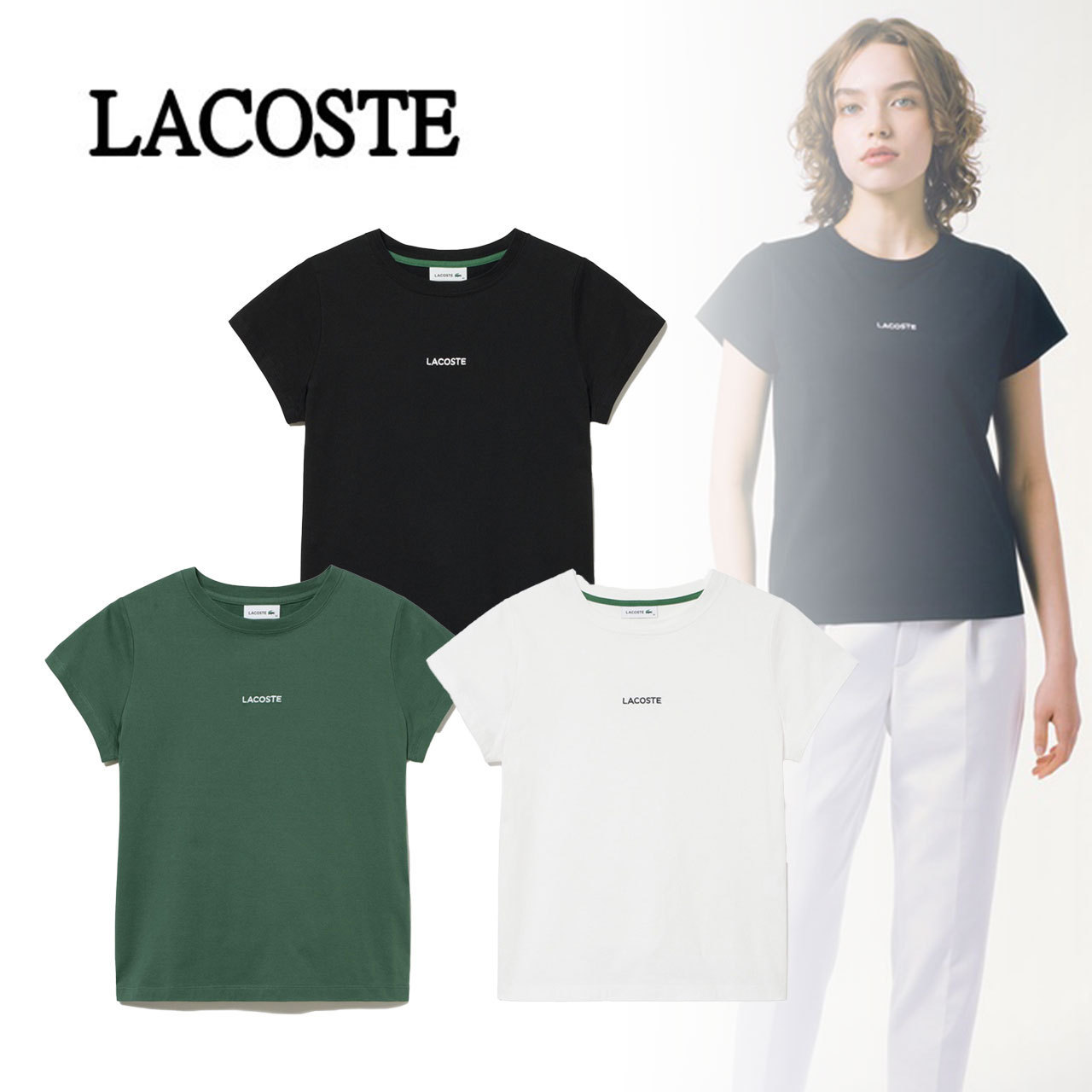 国内即発【LACOSTE】コンパクトブランドネームロゴTシャツ