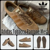 【ADIDAS】Tobacco Pantone Mesa ★アディダス タバコ★