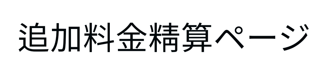 追加料金6000円