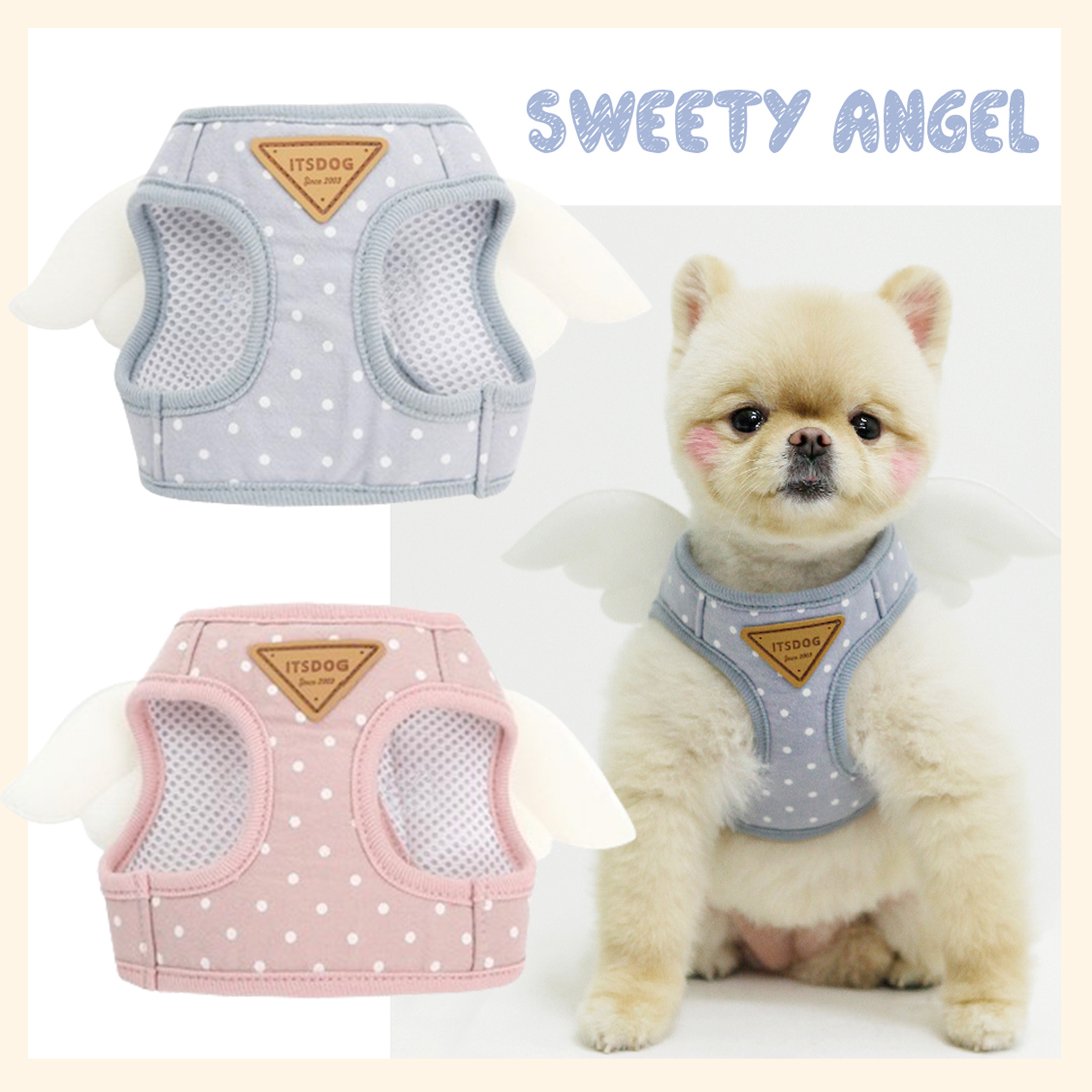 [ITSDOG] スウィーティ・エンジェル ハーネス&リードセット-2色