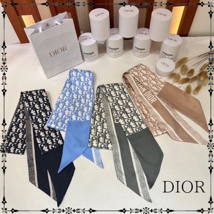 Christian Dior Lightweight Dior oblique mitzah scarf