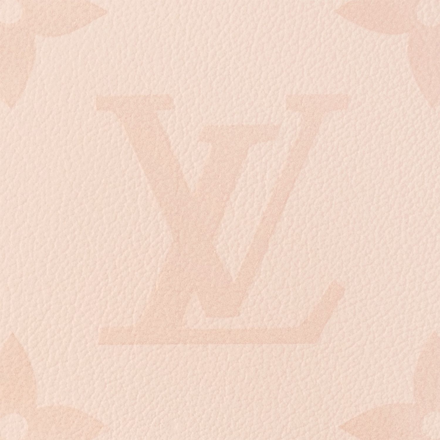 《可愛い/コンパクトサイズ》LOUIS VUITTON オンザゴーEW バッグ
