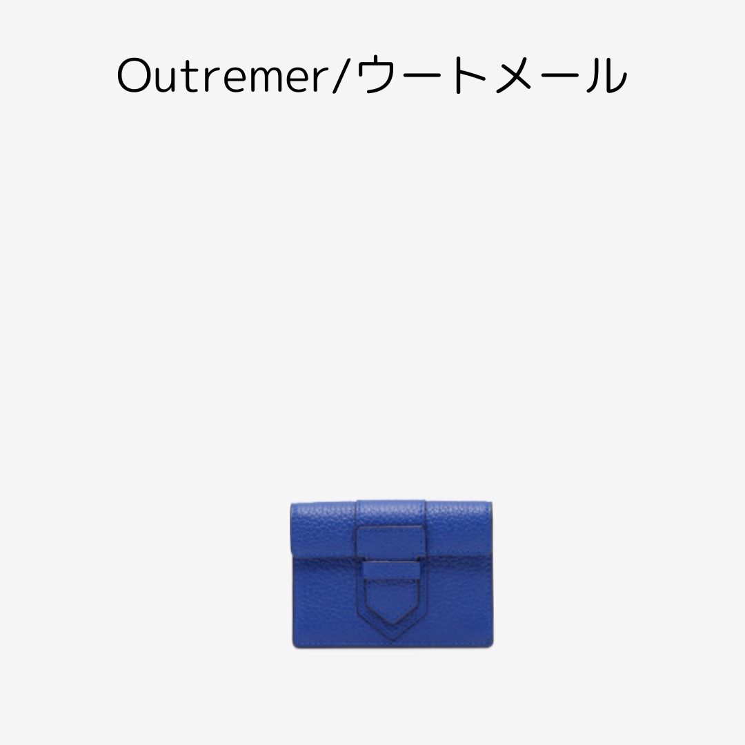 DELVAUX＊Presse Card Holderプレスカードホルダー＊送料込