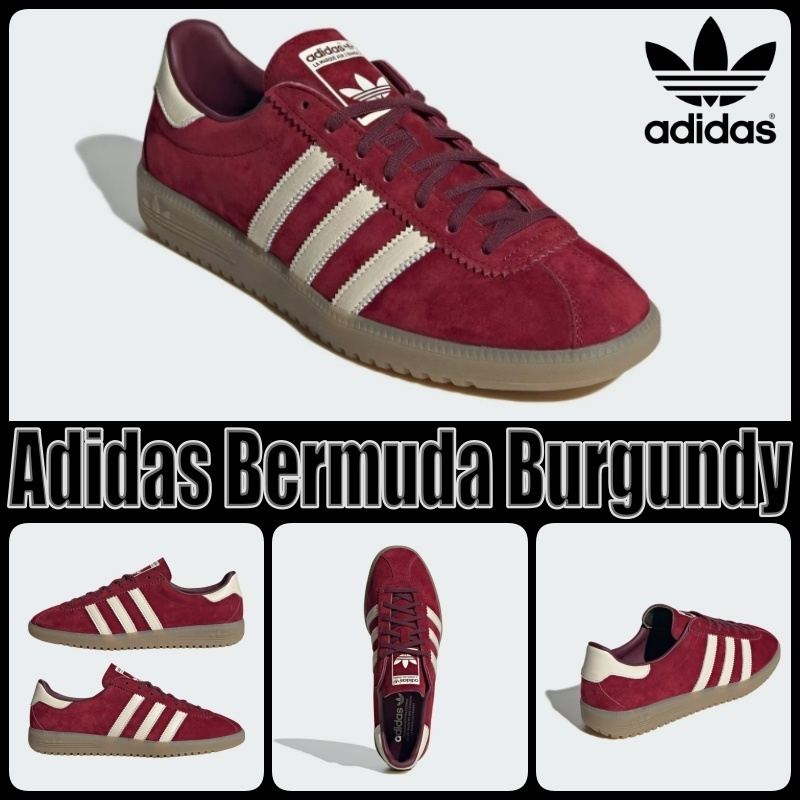 【アディダス】Adidas Bermuda College Burgundy ★バミューダ