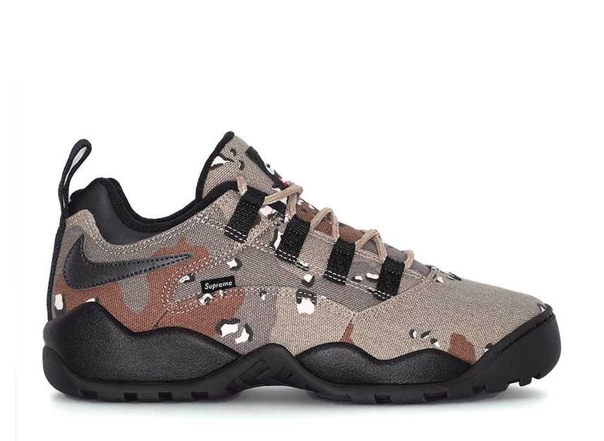 Supreme×Nike SB Darwin Low Desert Camo シュプリーム×ナイキ