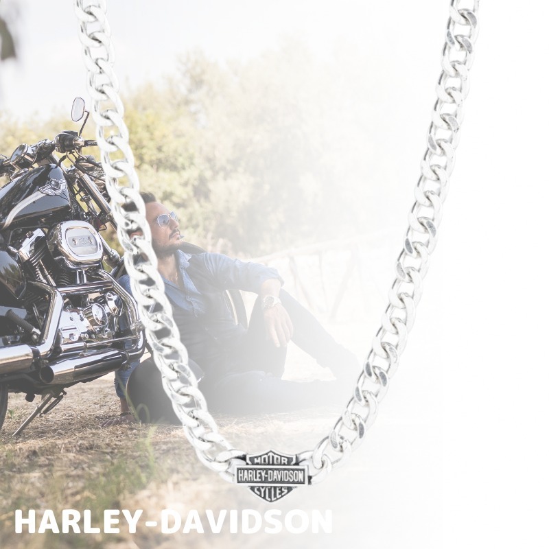 HARLEY DAVIDSON Men's 22 Logo Curb Link ネックレス Silver