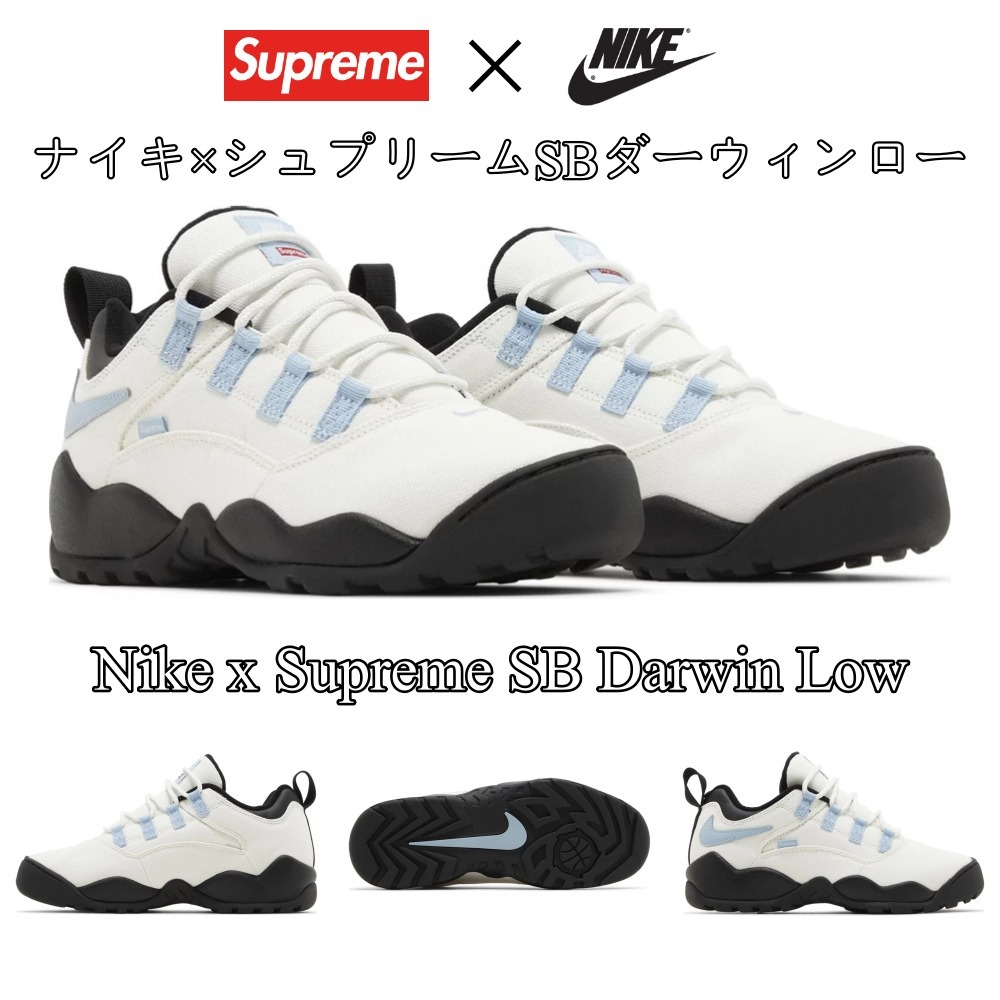 【Nike x Supreme】大人気★SBダーウィンロー★ブランドコラボ★