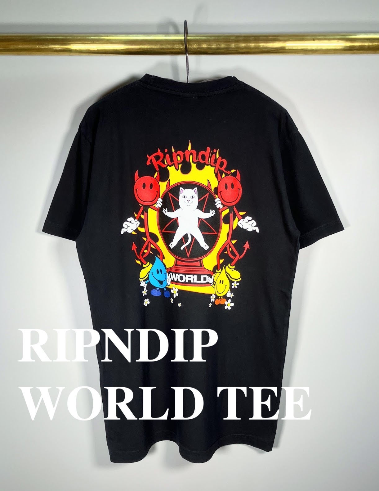★国内在庫/即発可*RIPNDIP*WORLD Tシャツ★