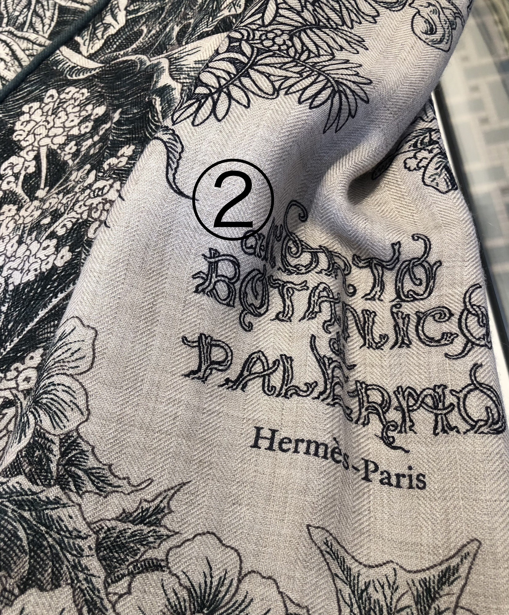 超最新 カシシル★Hermes★Orto Botanico Di Palermo 140 超最新 カシシル☆Hermes☆Orto Botanico Di Palermo 140