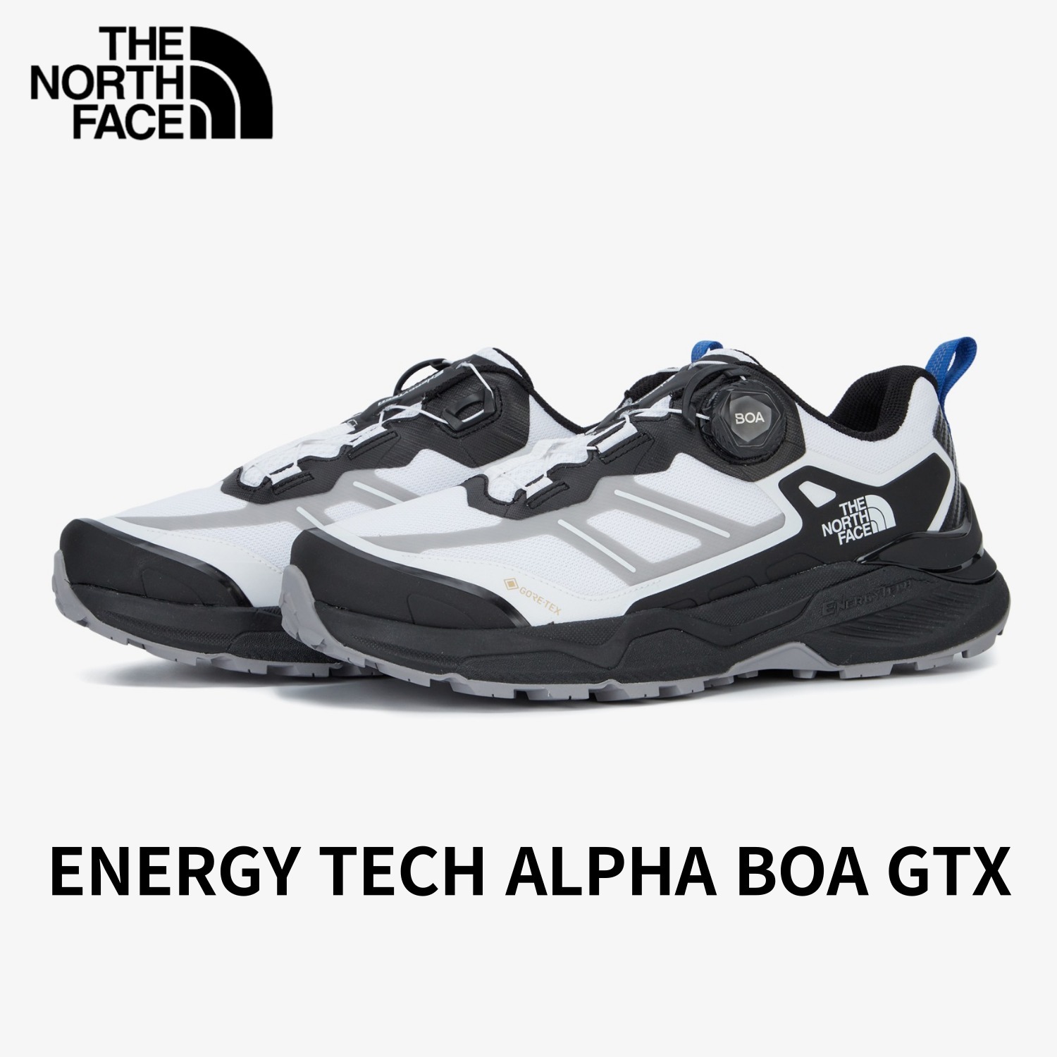 【THE NORTH FACE】★ENERGY TECH ALPHA BOA GTX★BLUE