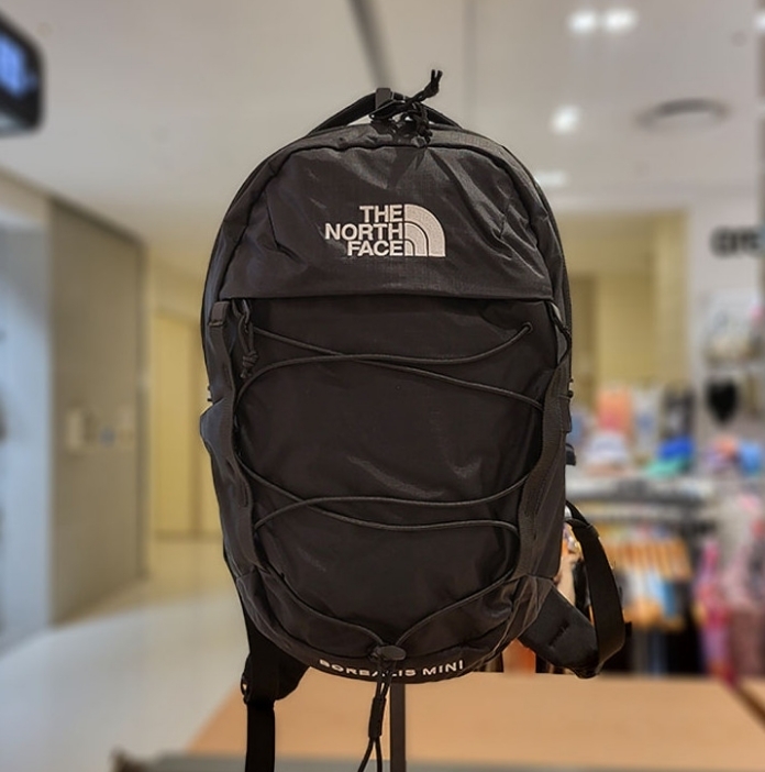 The North Face ●男女OK 10L BOREALIS MINI PACK NM2DQ55A