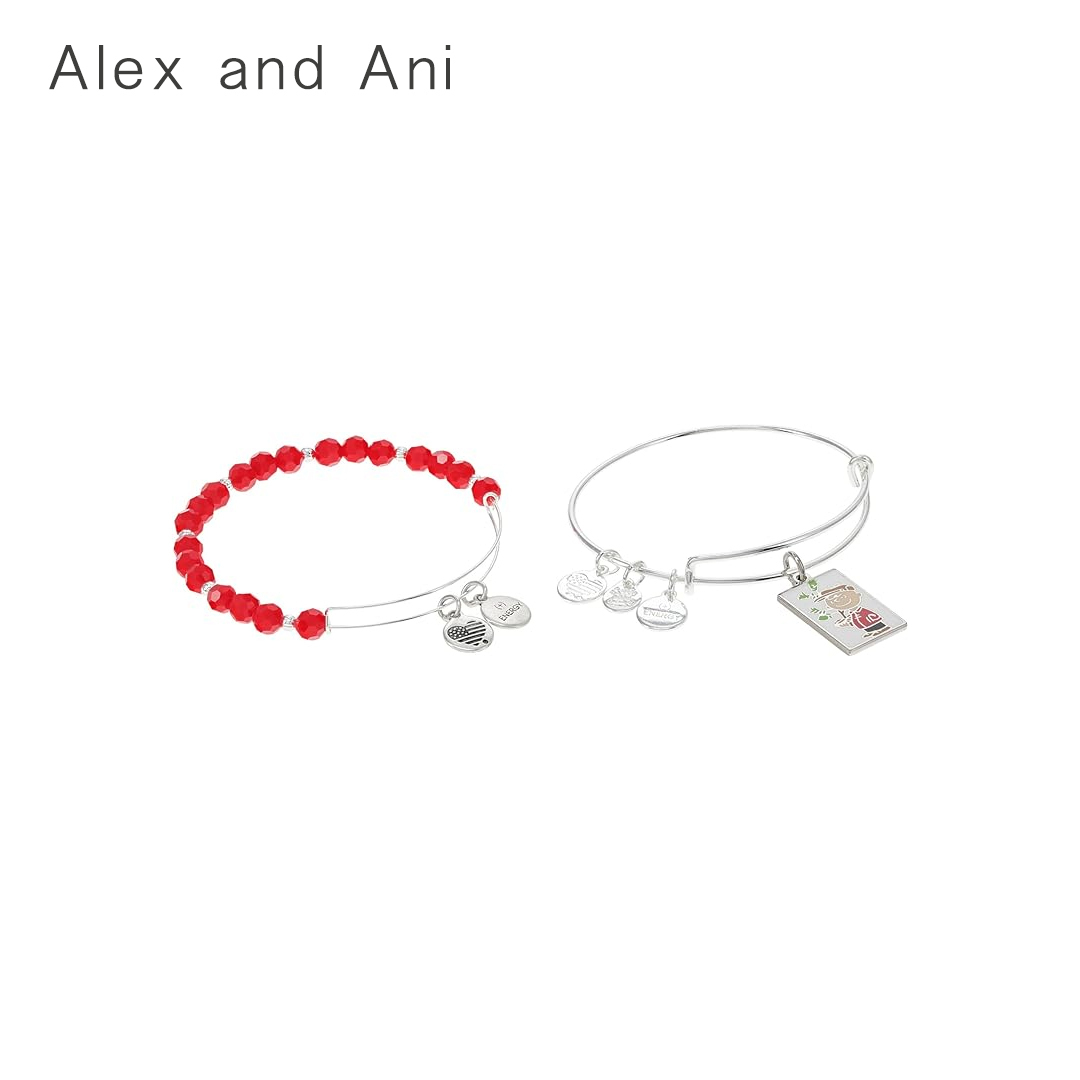 【Alex and Ani】チャームブレスレット2点セット