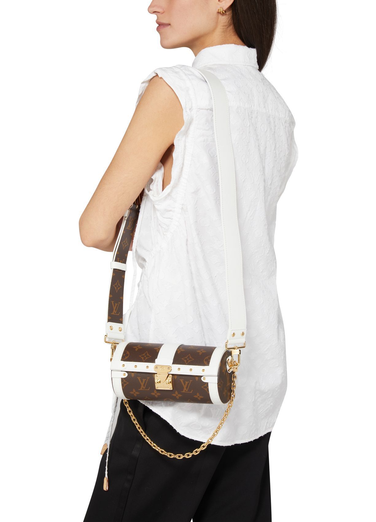 限定アイテム LOUIS VUITTON パピヨントランク