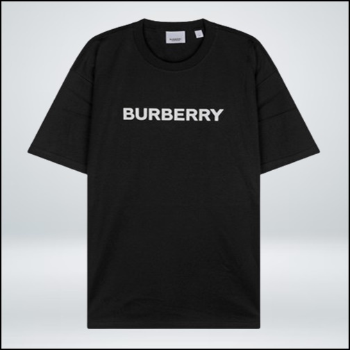 BURBERRY バーバリー メンズクルーネックTシャツ
