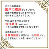 Jil Sander ショルダーバッグ・ポシェット JIL SANDER ジルサンダー/ Cannolo スモール ショルダーバッグ(2)